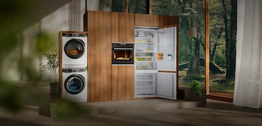 Electrolux EcoLine
